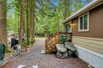 Side yard with mature trees