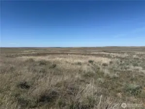 Consistent terrain across the property with great visibility.