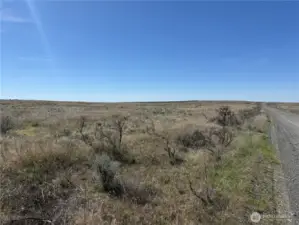 Consistent terrain across the property with great visibility.