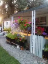 Pictures form last summer