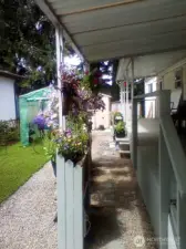 Pictures from last summer