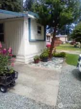 Pictures from last summer