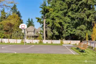 Community Half basketball court