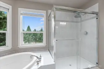 Large soaking tub and standup shower