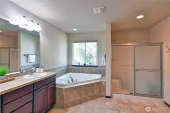 Primary Bath off of bedroom with large soaking tub, shower, double sinks and walk in closet