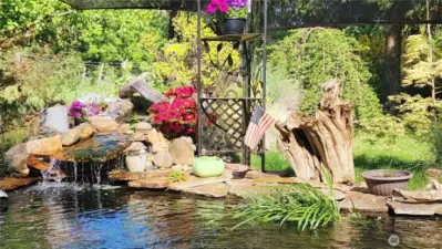 4500+ gallon koi pond with waterfall.