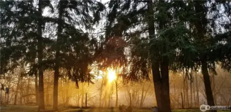 Backyard view of the sunrise.