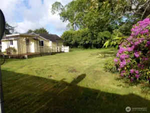 Standing at northwest corner of backyard.