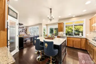 Open kitchen features slab granite  countertops, a custom-designed island  perfect for gathering or just a quick  breakfast, a spacious walk-in pantry. The  window overlooks the lush & private  backyard.