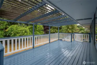 Entertainment sized deck!