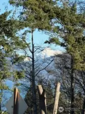 Peek A Boo View of Mount Baker
