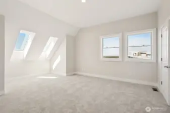 3rd floor guest room #1, walk in closet with hidden passageway to storage!