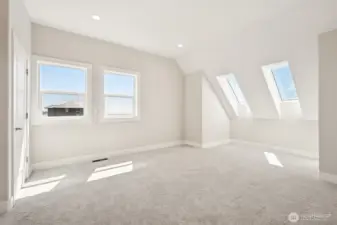 Third floor guest room #2 walk-in closet and so much natural light!
