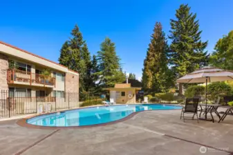 8ft Seasonal Heated Pool