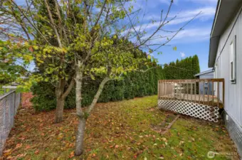 This is the view of the Southeast corner of the fenced back yard, and the deck off of the back door area.