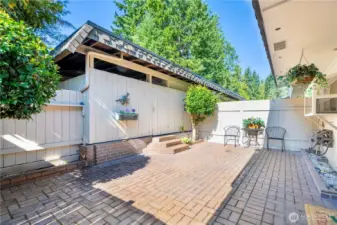 enjoy BBQ in the backyard