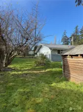 Back of house view and child's play house.