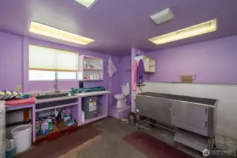 dog bath