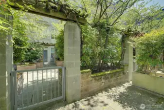 Back patio