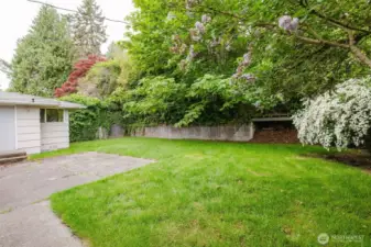 Lilacs, evergreens, and a cascade of flowering shrubs create a serene backdrop for summer barbecues or quiet mornings with coffee.
