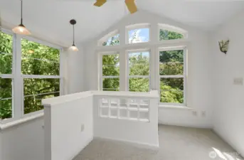 Nice sunroom addition. It could be an office or a youtube backdrop.