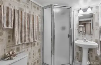 Lower level 3/4 bath
