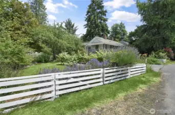 Wonderful side yard has good sun. This lot is a gardener's delight. Apples, cherries, raspberries, grapes, maybe even some blueberries. This 12,000 square foot lot has room for all kinds of things.