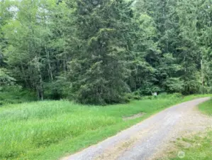A look at the road coming in from the security gate.