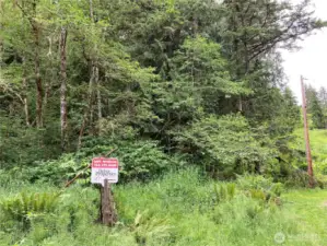 The property ends just before the telephone pole to the right, and extends back to the left.