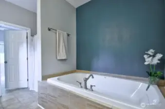 Large soaking tub in the primary bathroom