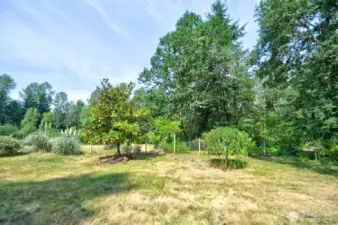 View of back yard