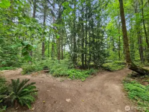Trails at the back of the property.