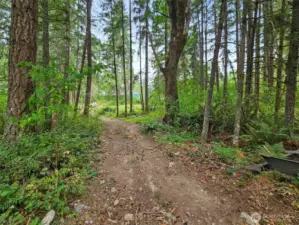Trails great for ATVs, dirt bikes or just enjoying a stroll around the scenic property.