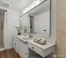 Full Bath & Shower in 1st Floor Bathroom