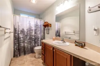 Full guest bathroom