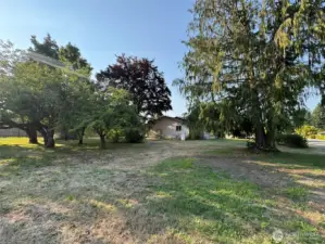 View of the original 5 city lots looking back at the home.
