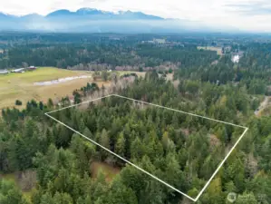 Approximate lot lines