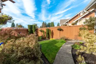 Only a few of these homes in Rosemount feature Rear Yards, the homes in the back are the only homes that have the yards.