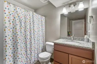 Lower level full bath.