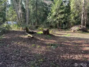 Property has been partially cleared and is easy to walk.