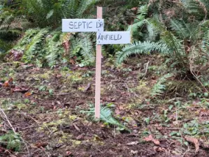 Approximate drainfield location.