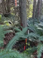 SE corner is well marked