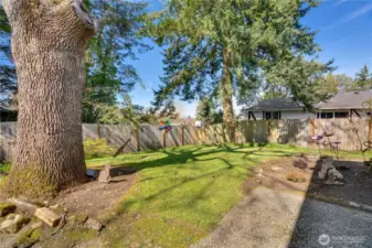 Front Lawn of Unit A