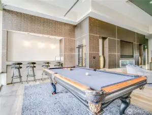 Owners club billiards table