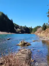 Cowlitz River