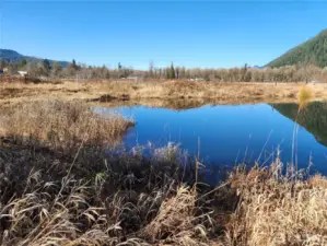 Pond on corner of property