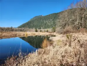 Pond on corner of property