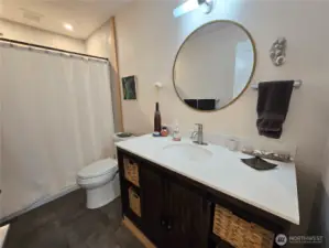 Guest Bathroom in Finished Basement