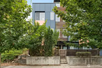 Trees and bamboo add privacy to east side of home.