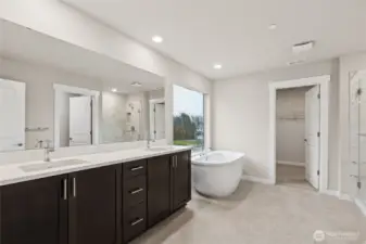 Primary bath with spacious walk-in closet.